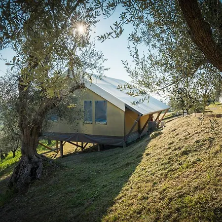 Podere Cortesi *