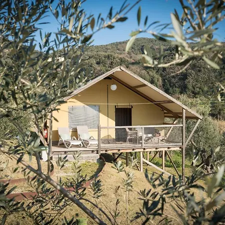 Luxury tent Podere Cortesi *