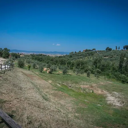 Podere Cortesi Santa Luce